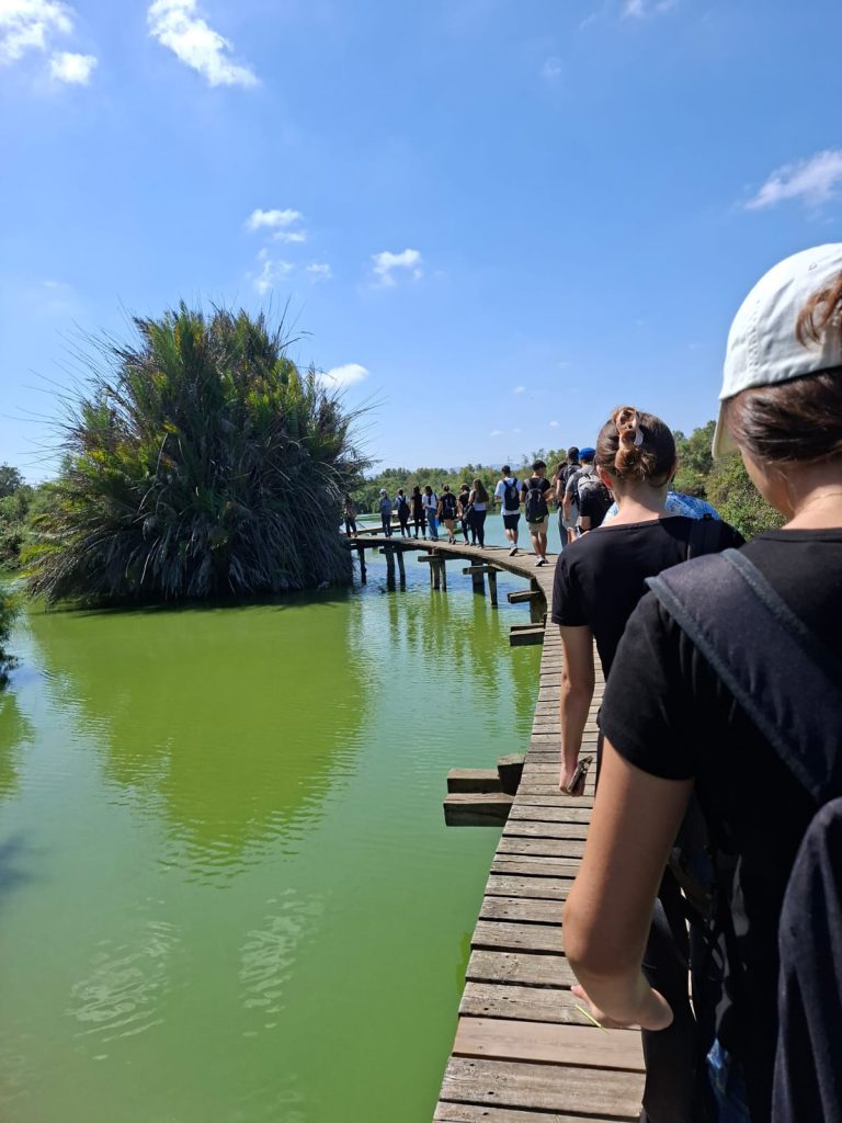 חוקרים מקרוב