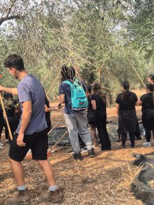 מוסקים ונהנים