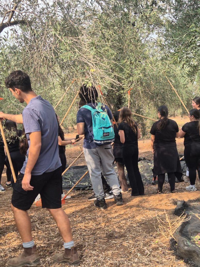 מוסקים ונהנים