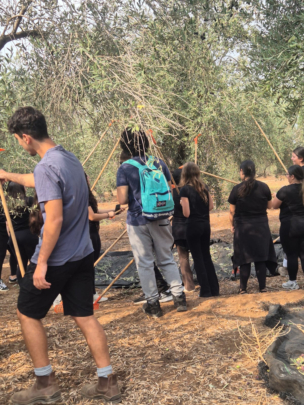 מוסקים ונהנים