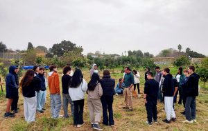 מנהיגות ירוקה בפעולה